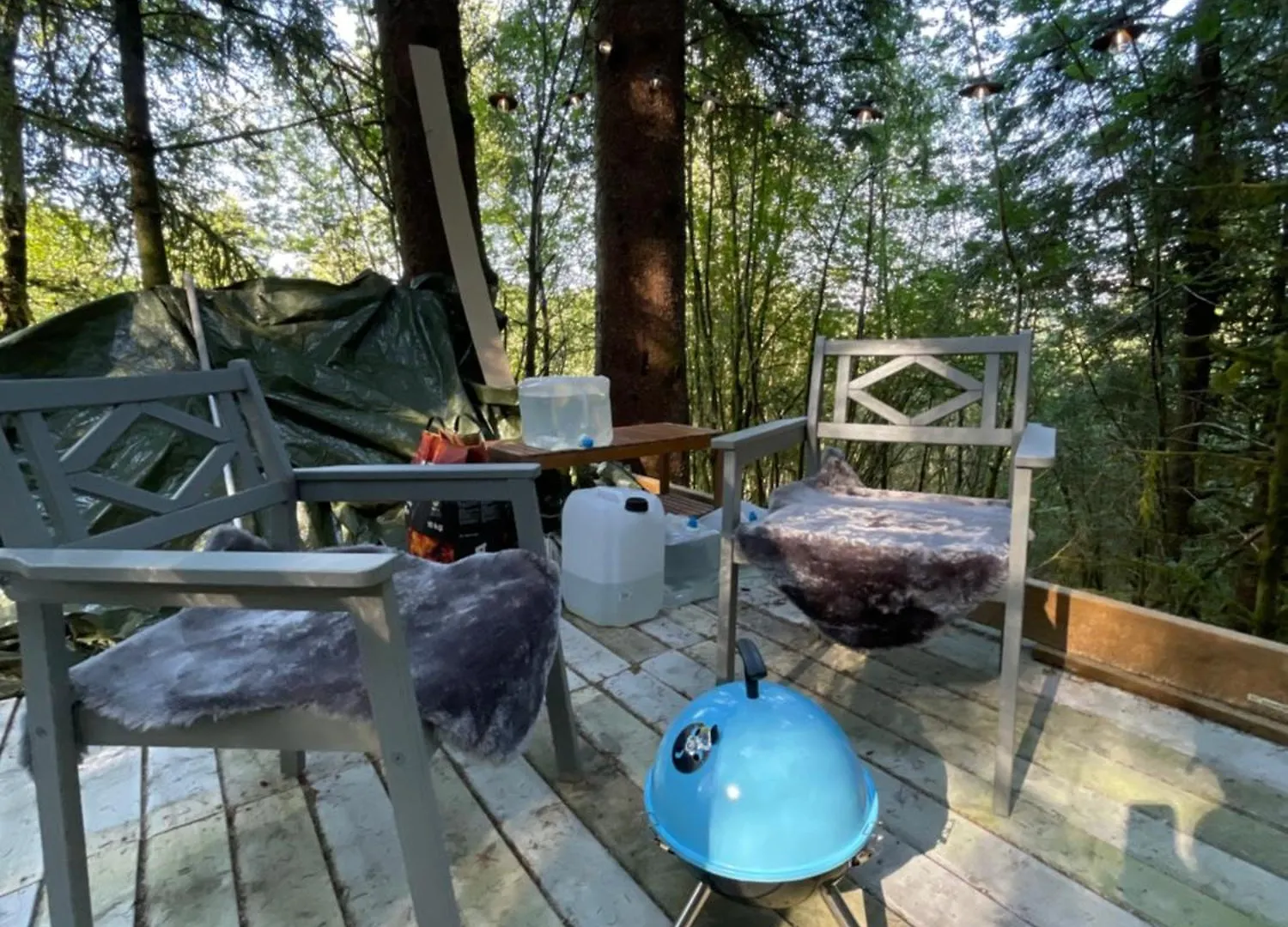 Magical Forest Haven Dome Appartement Bergen Noorwegen