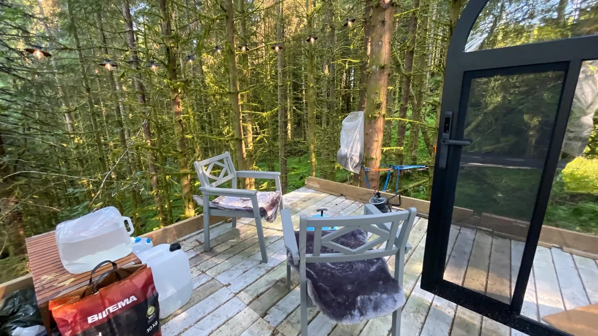 Magical Forest Haven Dome Appartement Bergen