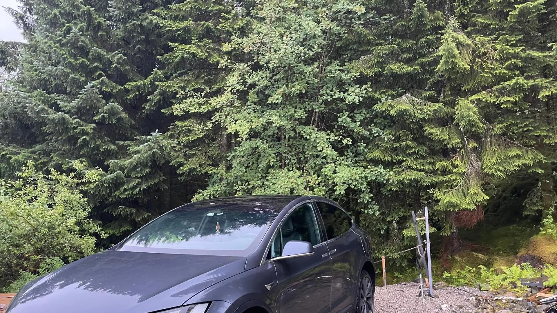 Magical Forest Haven Dome Appartement Bergen