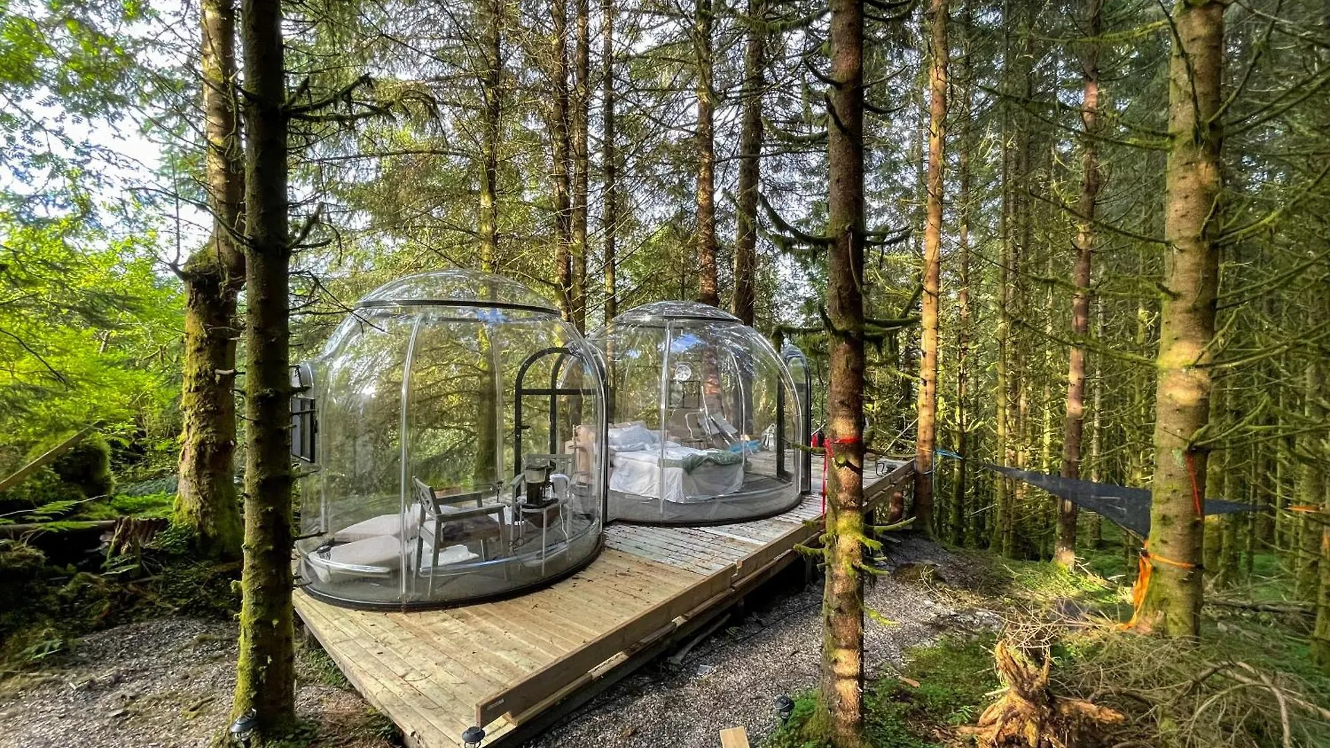 Magical Forest Haven Dome Appartement Bergen