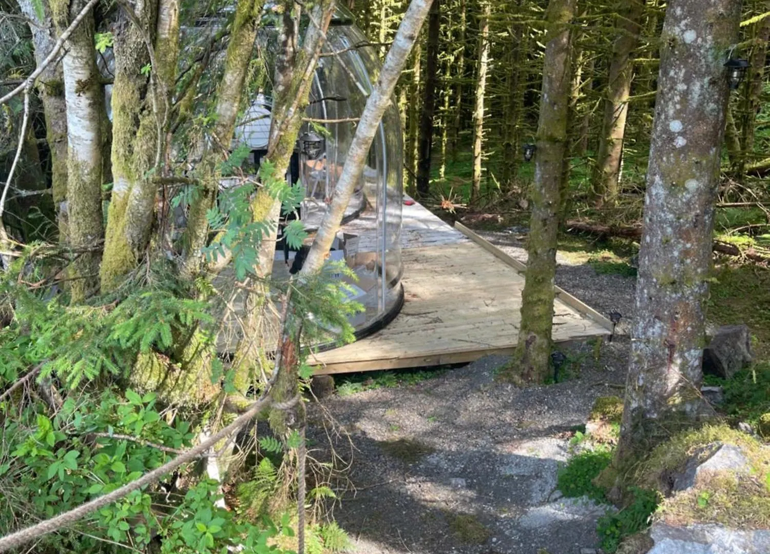 Magical Forest Haven Dome Appartement Bergen