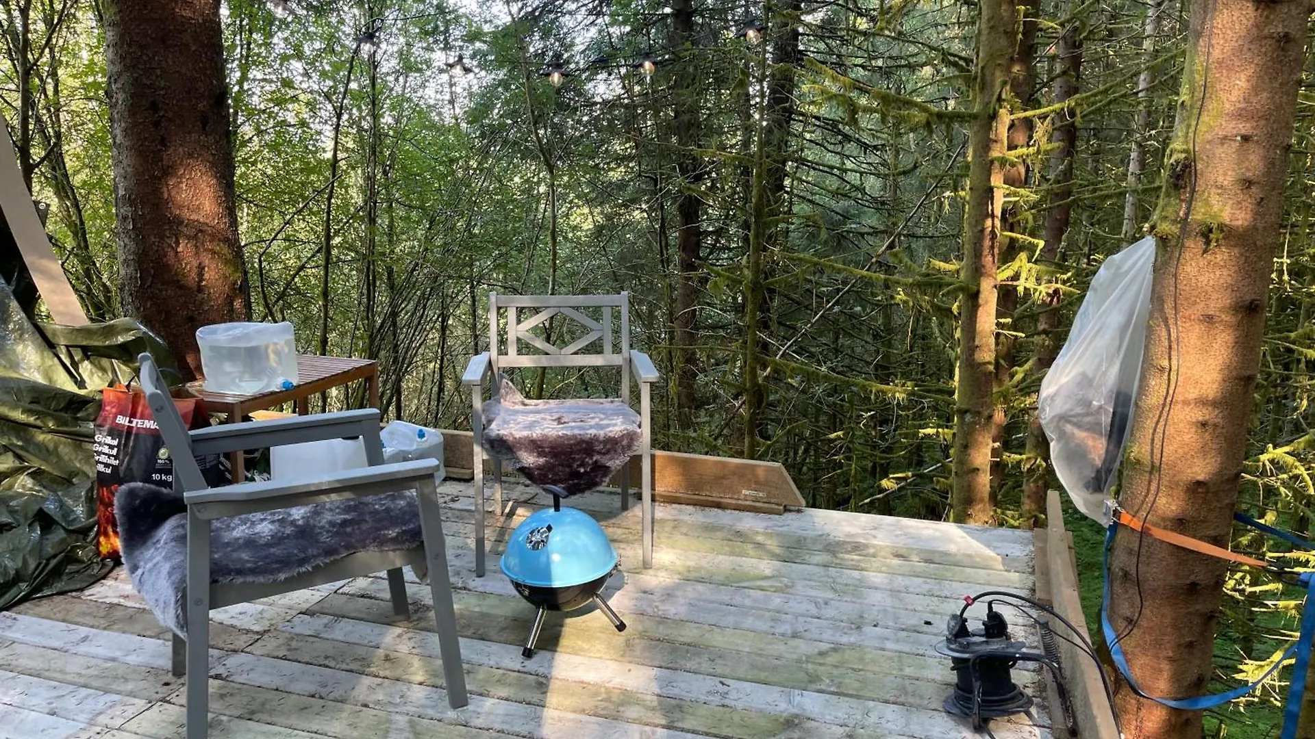 Magical Forest Haven Dome Appartement Bergen