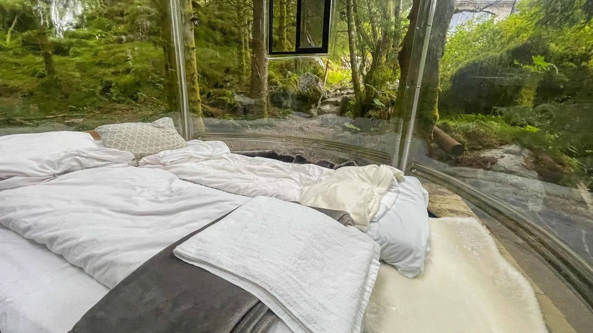 Magical Forest Haven Dome Appartement Bergen
