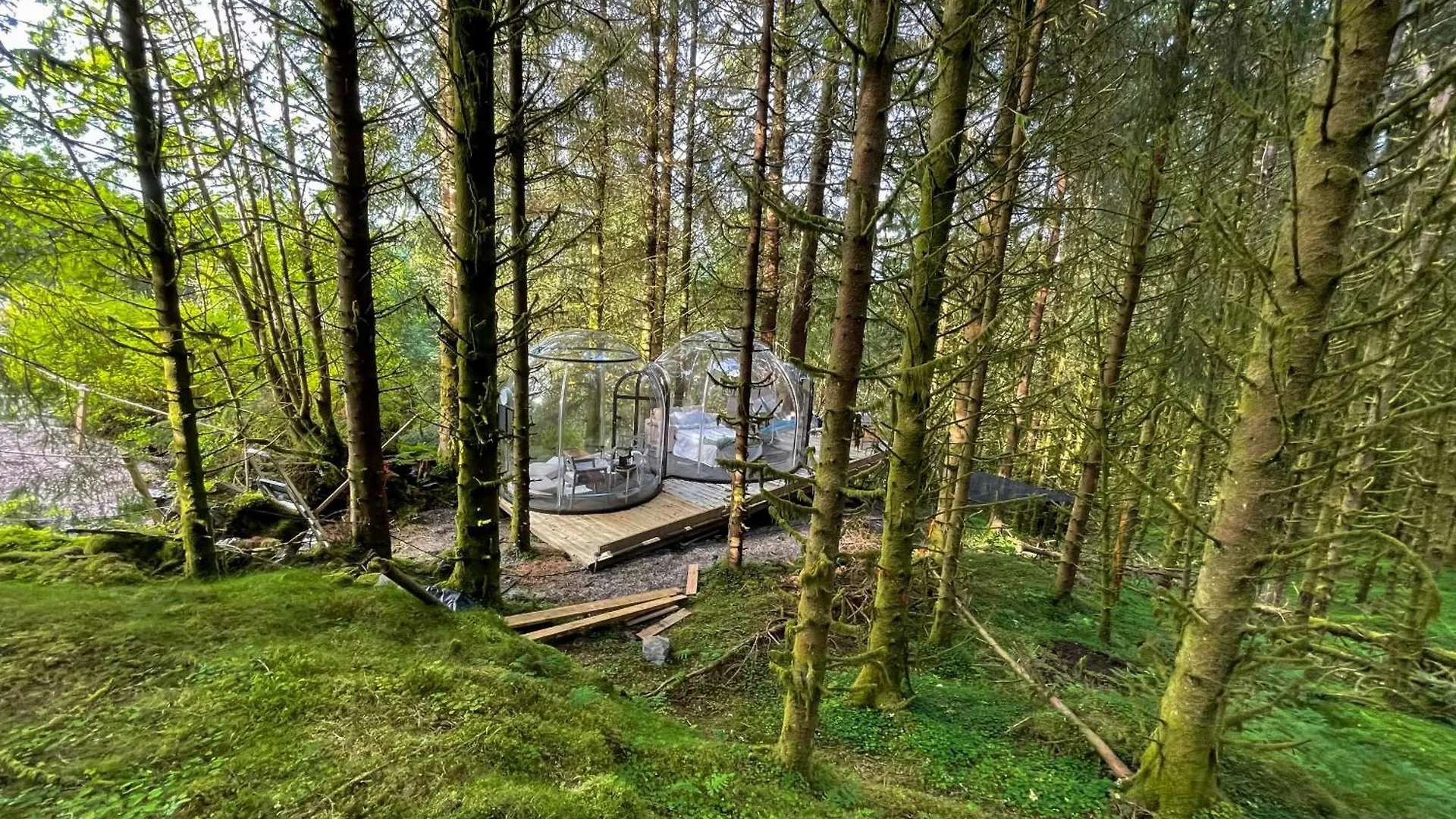 Magical Forest Haven Dome Appartement Bergen 0*,