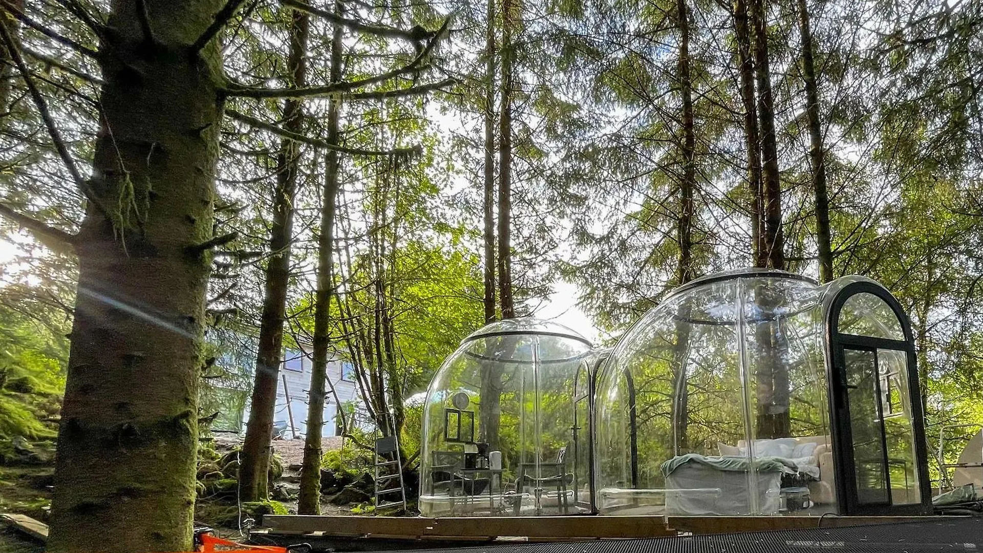 Magical Forest Haven Dome Appartement Bergen
